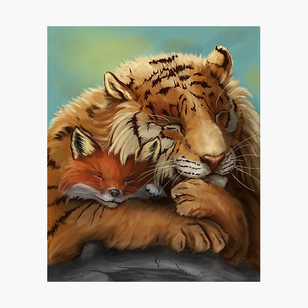 Sleeping Tiger and Fox ~ Friendship Photographic Print