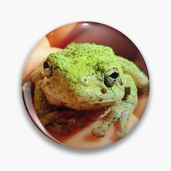 Item preview, Gray Treefrog (Green phase) – Original Macro Photography designed and sold by Crystal Furciniti.