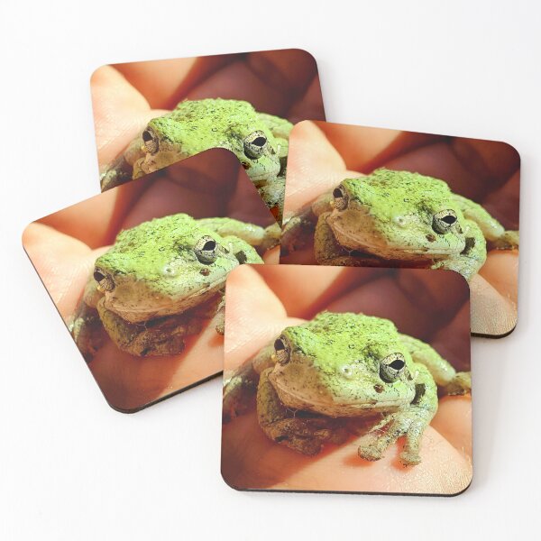 Item preview, Gray Treefrog (Green phase) – Original Macro Photography designed and sold by Crystal Furciniti.