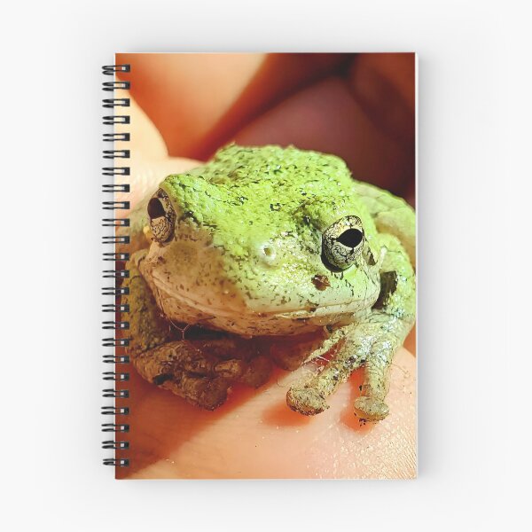 Item preview, Gray Treefrog (Green phase) – Original Macro Photography designed and sold by Crystal Furciniti.
