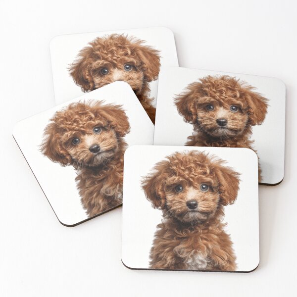 Item preview, Adorable Poodle Pup for Cute Poodle puppy lovers designed and sold by LazyOwlStore.