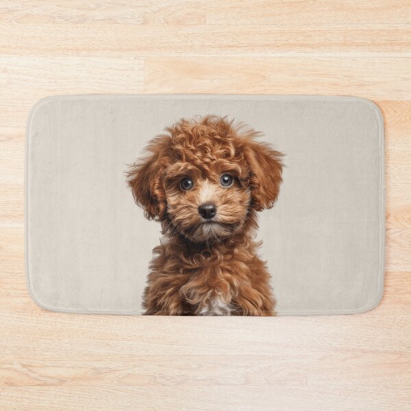 Item preview, Adorable Poodle Pup for Cute Poodle puppy lovers designed and sold by LazyOwlStore.