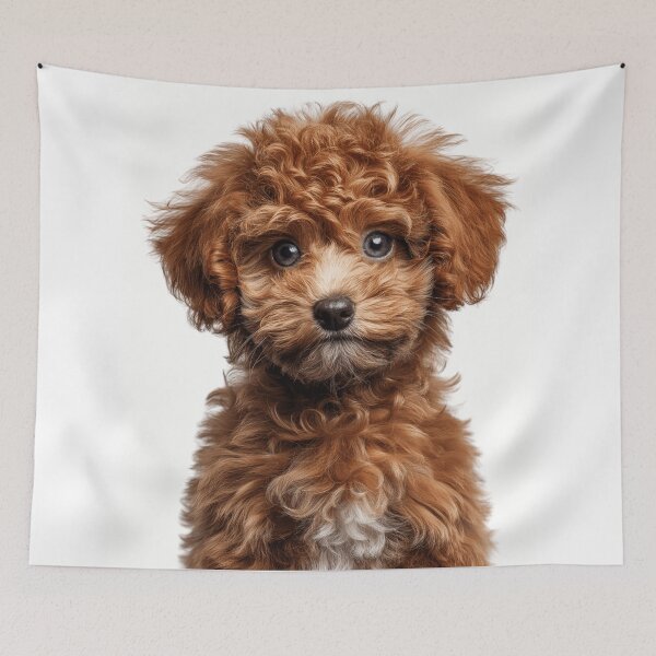 Item preview, Adorable Poodle Pup for Cute Poodle puppy lovers designed and sold by LazyOwlStore.