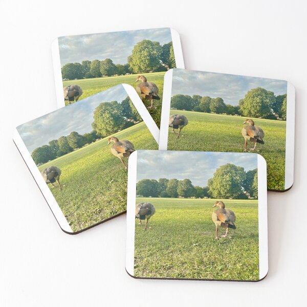 Item preview, Egyptian Geese in Park | Green Field & Trees | UK Wildlife Nature Photography designed and sold by ThatSurreyLife.