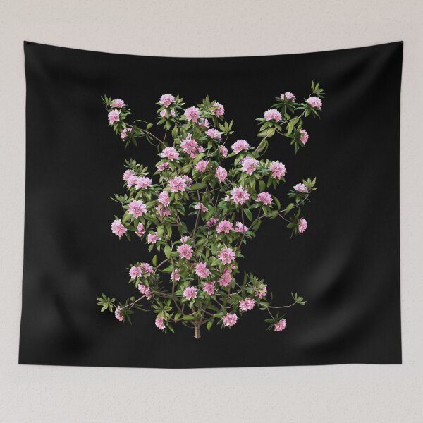 Item preview, Rhododendron Botanical Flower designed and sold by Vac1.