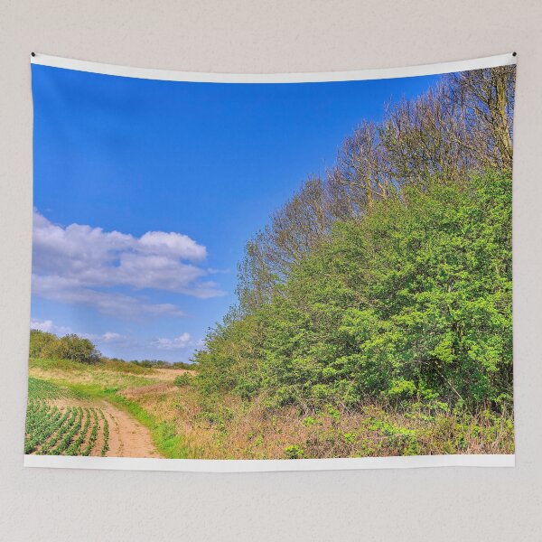 Item preview, Vibrant Northumberland Landscape designed and sold by Violaman.
