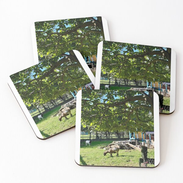 Item preview, Goats at Spitalfields City Farm | East London Urban Farm | Nature & Animals Photography designed and sold by ThatSurreyLife.