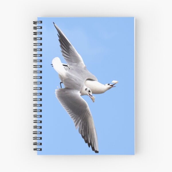 Item preview, Perfect Timing in Flight Seagull Wall Art designed and sold by MammieLO Art.