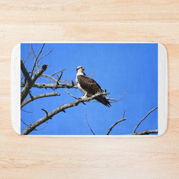Item preview, Majestic Osprey overlooks his territory designed and sold by Chris Coates Photography.com.