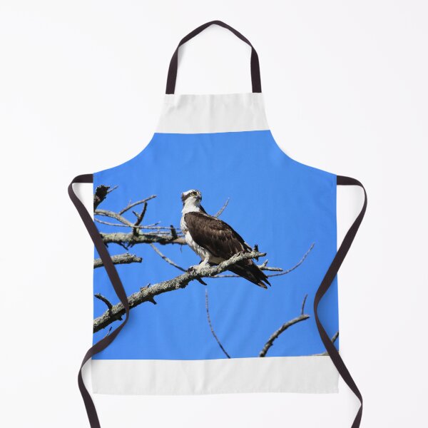 Item preview, Majestic Osprey overlooks his territory designed and sold by Chris Coates Photography.com.