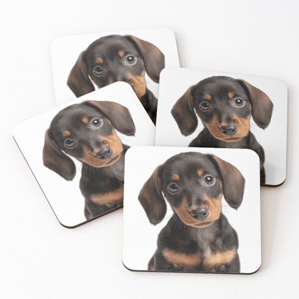 Item preview, Adorable Dachshund Pup for Cute Dachshund puppy lovers designed and sold by LazyOwlStore.