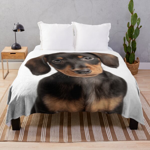 Item preview, Adorable Dachshund Pup for Cute Dachshund puppy lovers designed and sold by LazyOwlStore.