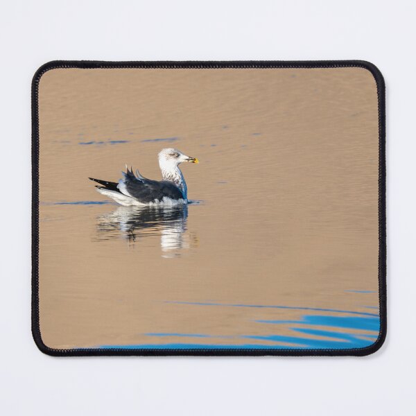 Item preview, Lesser Black-backed Gull at the Spillway designed and sold by Debra Martz.