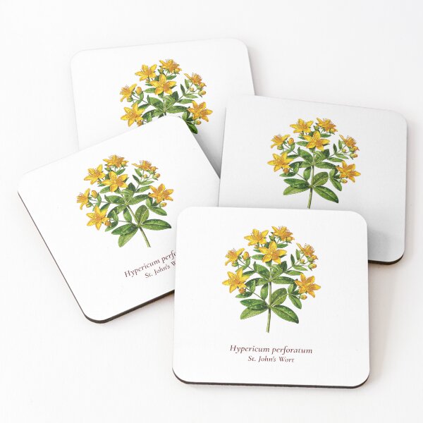 Item preview, St. John's Wort Botanical T-Shirt | Hypericum perforatum Vintage Illustration | Herb Lover Gift designed and sold by Panom Suavichien.