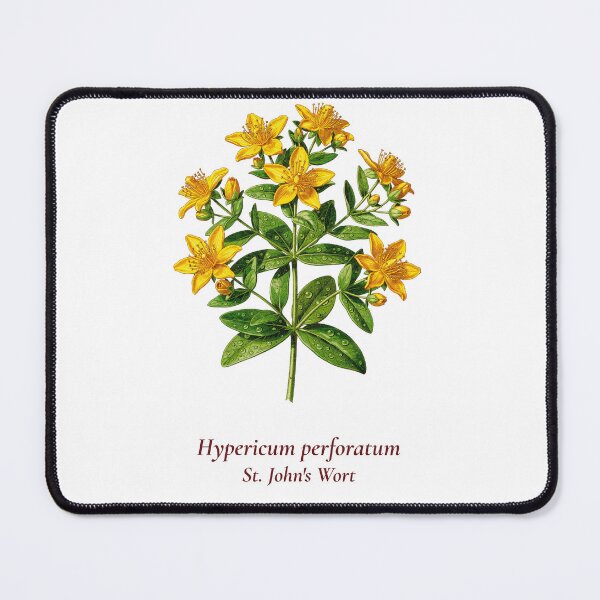Item preview, St. John's Wort Botanical T-Shirt | Hypericum perforatum Vintage Illustration | Herb Lover Gift designed and sold by Panom Suavichien.