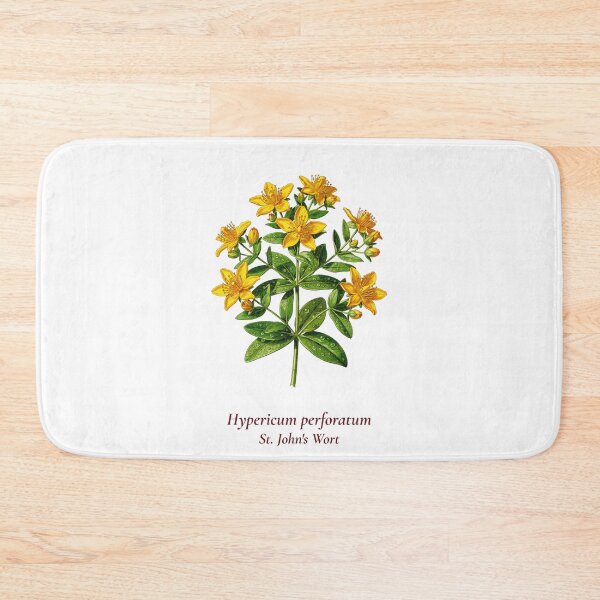 Item preview, St. John's Wort Botanical T-Shirt | Hypericum perforatum Vintage Illustration | Herb Lover Gift designed and sold by Panom Suavichien.