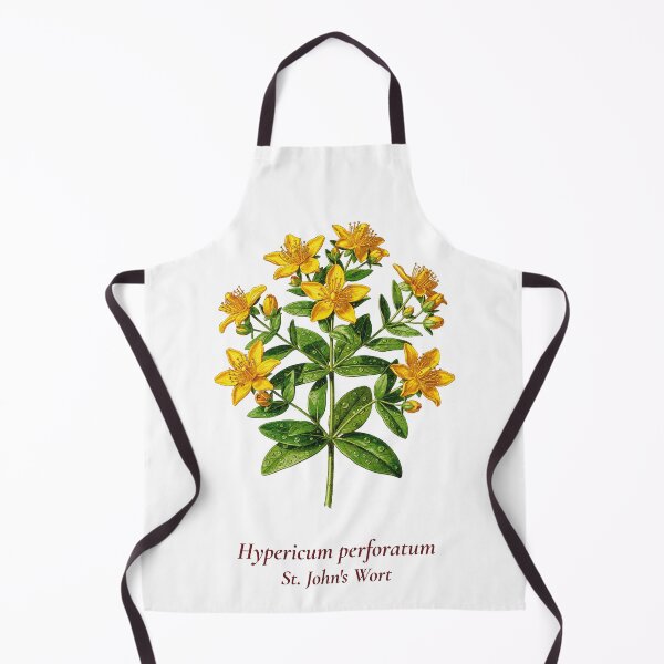 Artikelvorschau, Johanniskraut-T-Shirt (Botanik) | Vintage-Illustration von Hypericum perforatum | Geschenk für Kräuterliebhaber entworfen und verkauft von Panom Suavichien.