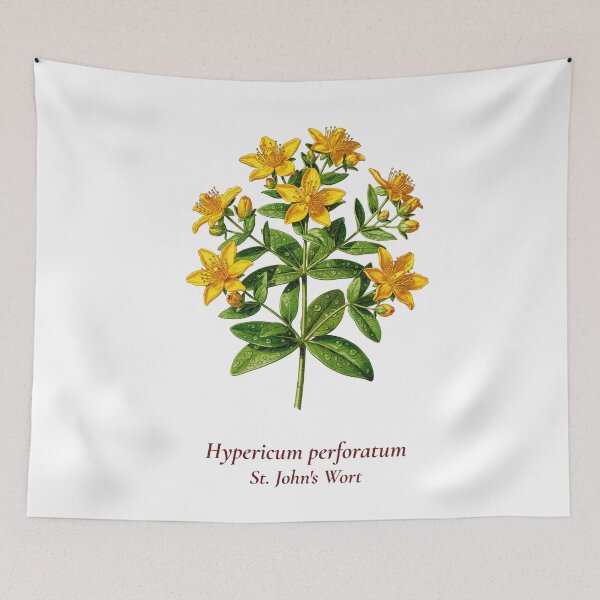 Item preview, St. John's Wort Botanical T-Shirt | Hypericum perforatum Vintage Illustration | Herb Lover Gift designed and sold by Panom Suavichien.