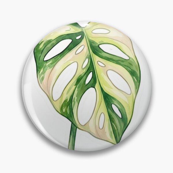 Item preview, Aesthetic Variegated Monstera Adansonii Botanical Art designed and sold by SanclairGoods.