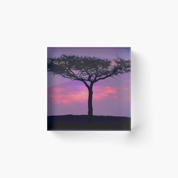 Item preview, African Acacia Tree Under Magical Sunset Art Photo designed and sold by DEC02.