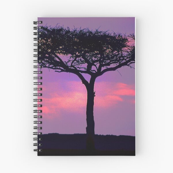 Item preview, African Acacia Tree Under Magical Sunset Art Photo designed and sold by DEC02.
