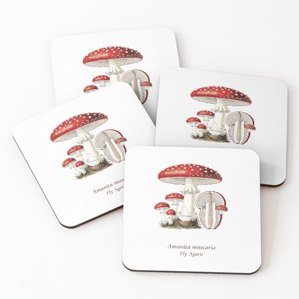Item preview, Amanita Muscaria Botanical T-Shirt | Fly Agaric Vintage Illustration | Cottagecore Mushroom Gift designed and sold by Panom Suavichien.