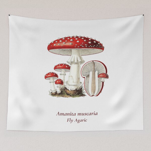 Item preview, Amanita Muscaria Botanical T-Shirt | Fly Agaric Vintage Illustration | Cottagecore Mushroom Gift designed and sold by Panom Suavichien.