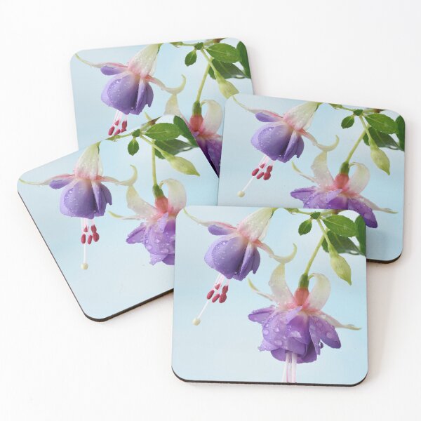Item preview, Fuchsia  'Prince George'  designed and sold by Chris Burrows.