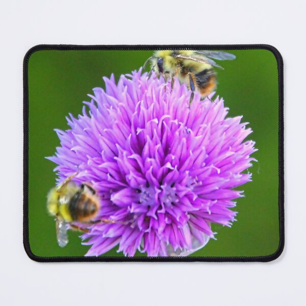 Item preview, Busy Bees in Spring designed and sold by vernonplatt.