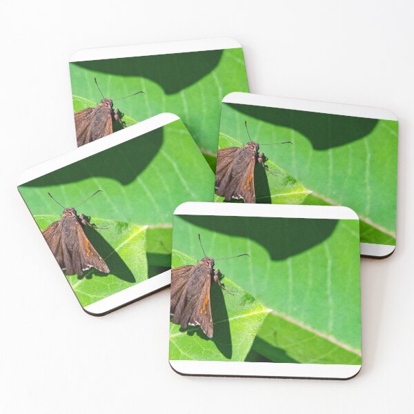 Item preview, Skipper Butterfly on Leaves, Summer Afternoon designed and sold by AMacGPhilly.