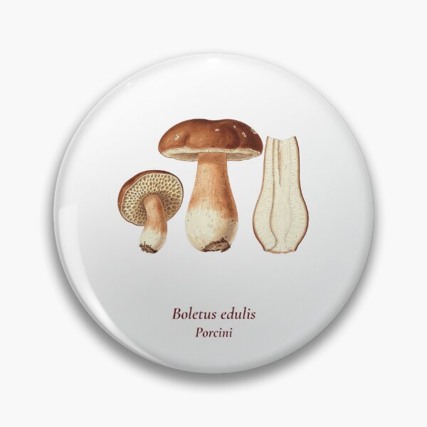 Item preview, Boletus Edulis Botanical T-Shirt | Porcini Mushroom Vintage Illustration | Italian Mushroom Forager Gift designed and sold by Panom Suavichien.