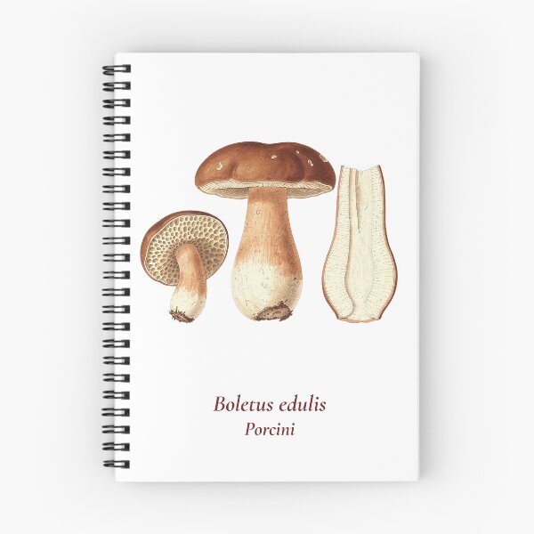 Item preview, Boletus Edulis Botanical T-Shirt | Porcini Mushroom Vintage Illustration | Italian Mushroom Forager Gift designed and sold by Panom Suavichien.