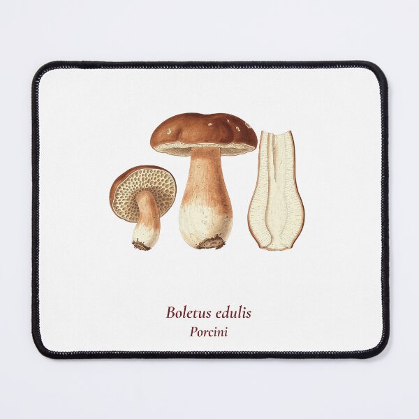 Item preview, Boletus Edulis Botanical T-Shirt | Porcini Mushroom Vintage Illustration | Italian Mushroom Forager Gift designed and sold by Panom Suavichien.