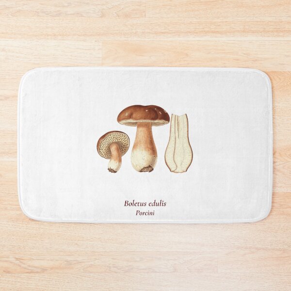 Item preview, Boletus Edulis Botanical T-Shirt | Porcini Mushroom Vintage Illustration | Italian Mushroom Forager Gift designed and sold by Panom Suavichien.