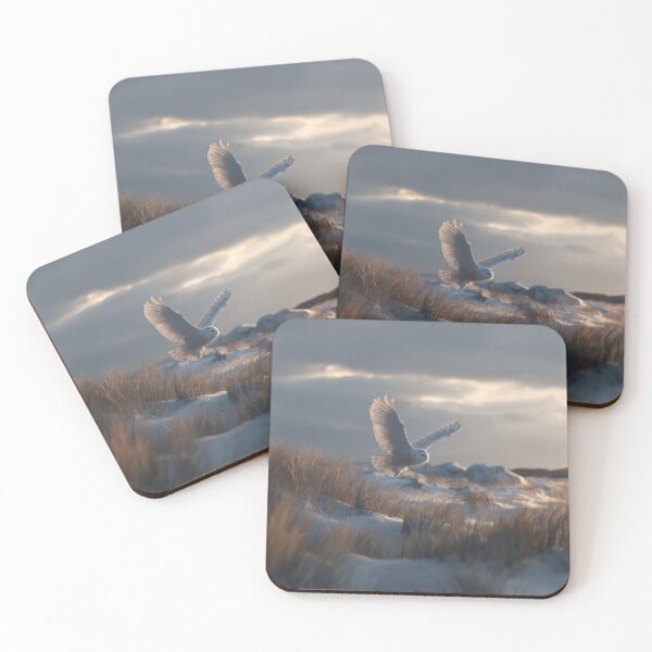 Item preview, A Snowy Owl flying low over an Arctic plain, Birds in Motion designed and sold by CDC40.