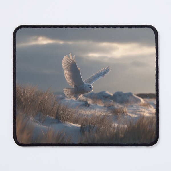 Item preview, A Snowy Owl flying low over an Arctic plain, Birds in Motion designed and sold by CDC40.
