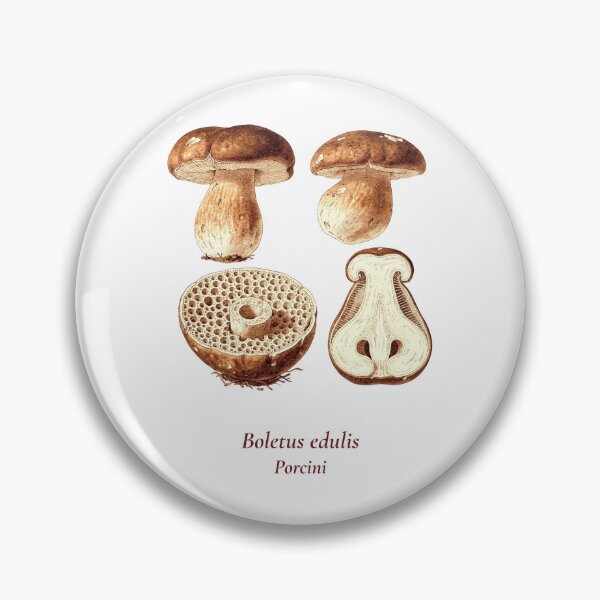 Item preview, Boletus Edulis Botanical T-Shirt | Porcini Mushroom Vintage Illustration | Italian Mushroom Forager Gift designed and sold by Panom Suavichien.