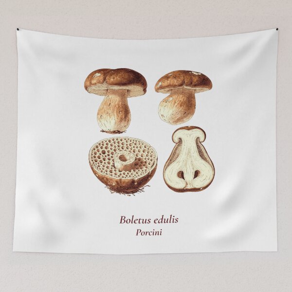 Item preview, Boletus Edulis Botanical T-Shirt | Porcini Mushroom Vintage Illustration | Italian Mushroom Forager Gift designed and sold by Panom Suavichien.