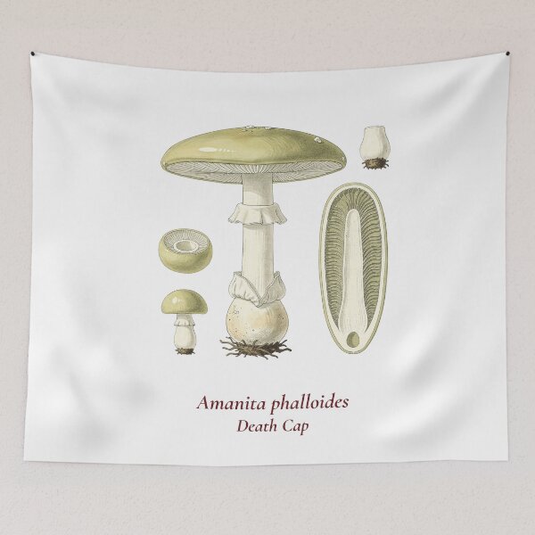 Item preview, Camiseta botánica de Amanita Phalloides | Ilustración vintage de la seta Amanita phalloides | Regalo de micología estilo Dark Academia designed and sold by Panom Suavichien.