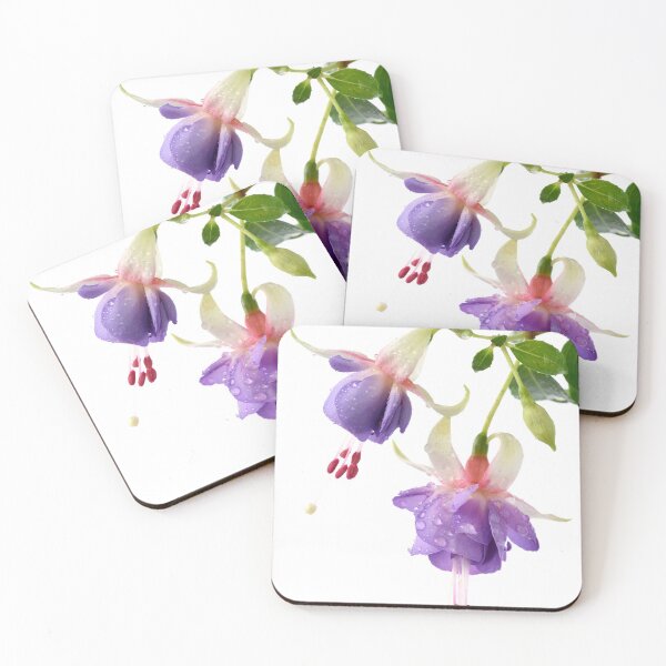 Item preview, Fuchsia 'Prince George' designed and sold by Chris Burrows.