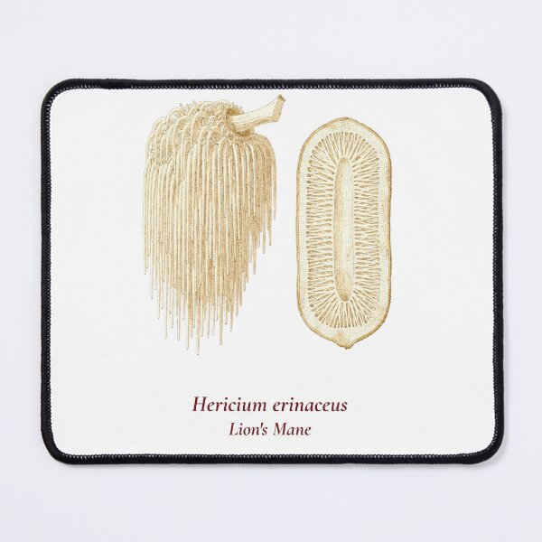 Item preview, Hericium Erinaceus Botanical T-Shirt | Lion's Mane Mushroom Vintage Illustration | Wellness Mycology Gift designed and sold by Panom Suavichien.
