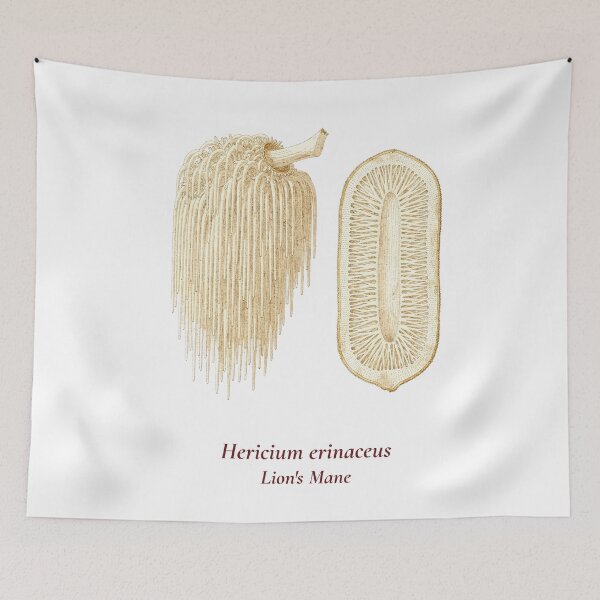 Item preview, Hericium Erinaceus Botanical T-Shirt | Lion's Mane Mushroom Vintage Illustration | Wellness Mycology Gift designed and sold by Panom Suavichien.