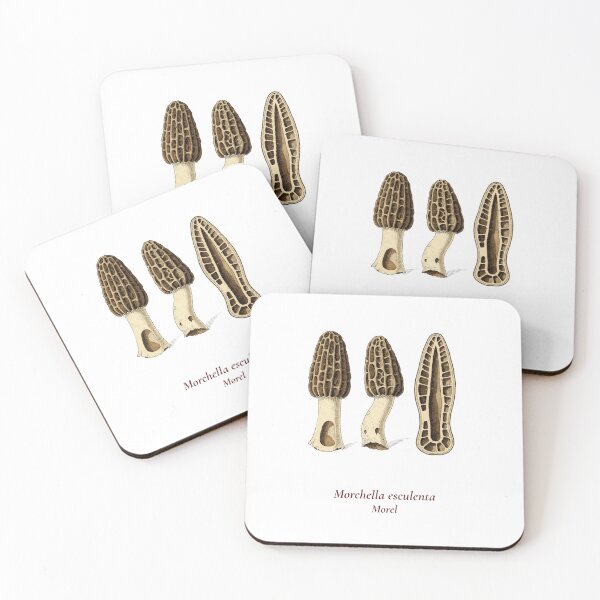 Item preview, Morchella Esculenta Botanical T-Shirt | Morel Mushroom Vintage Illustration | Forager Mycology Gift designed and sold by Panom Suavichien.