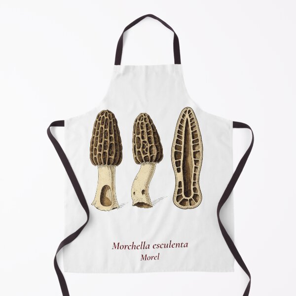 Item preview, Morchella Esculenta Botanical T-Shirt | Morel Mushroom Vintage Illustration | Forager Mycology Gift designed and sold by Panom Suavichien.