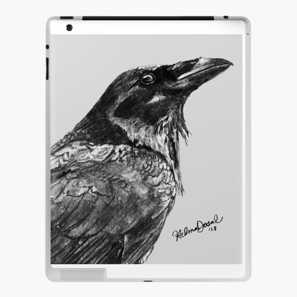 Raven Charcoal Drawing – CarlaThomsonArt