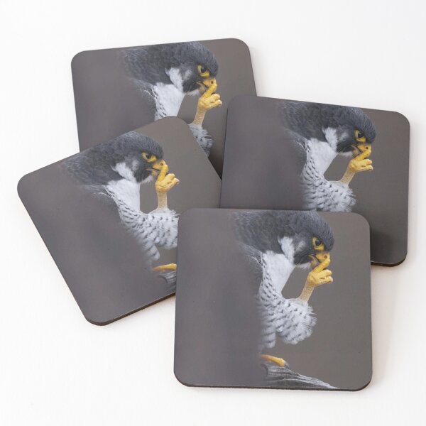 Item preview, The Thinking Falcon: A Moment of Reflection designed and sold by GUINewAlex.