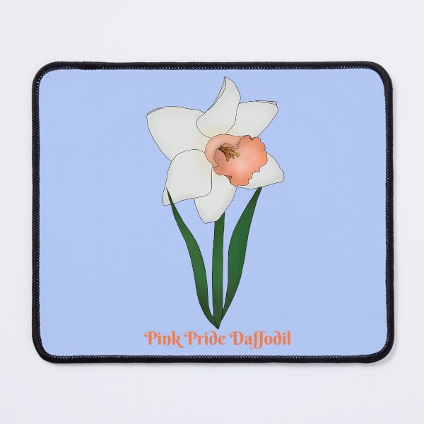 Item preview, Pink Pride Daffodil designed and sold by Floralfusion.