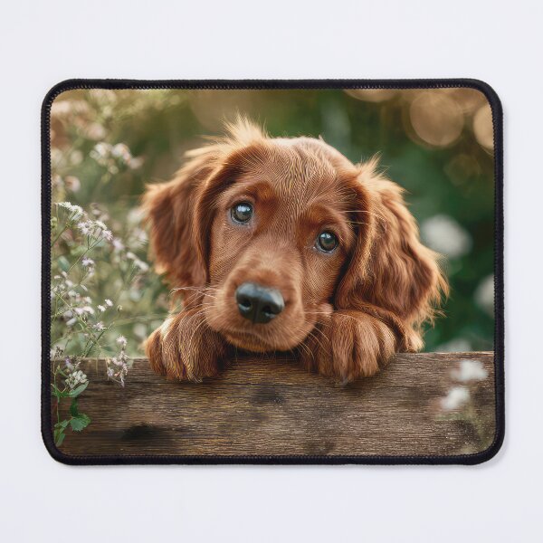 Item preview, Cute Irish Setter Puppy designed and sold by Elisabeth Lucas.