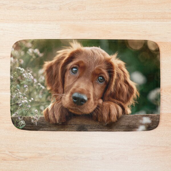Item preview, Cute Irish Setter Puppy designed and sold by Elisabeth Lucas.