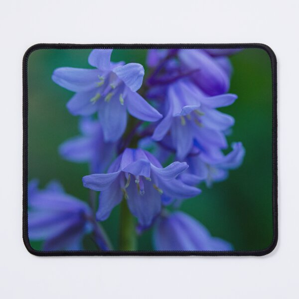 Item preview, Soft Bluebell Dreams designed and sold by JSFrame.